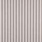 2465 Stripe Taupe Classic Beige & Taupe Charlotte Fabrics