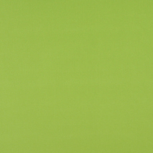 2469 Plain & Solid Lime Green Charlotte Fabrics