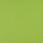 2469 Plain & Solid Lime Green Charlotte Fabrics