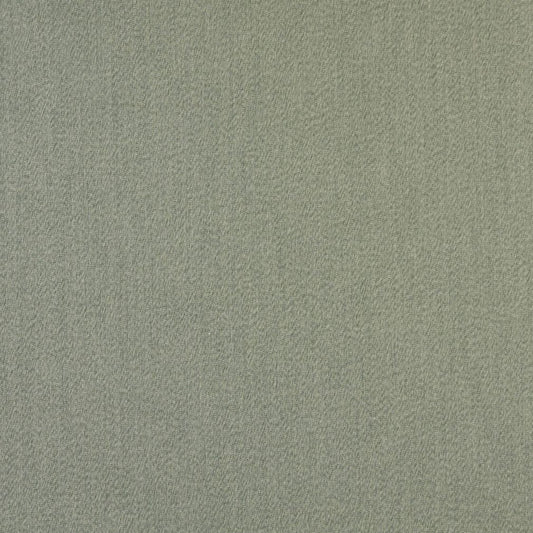2471 Plain & Solid Fern Green Charlotte Fabrics