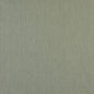 2471 Plain & Solid Fern Green Charlotte Fabrics