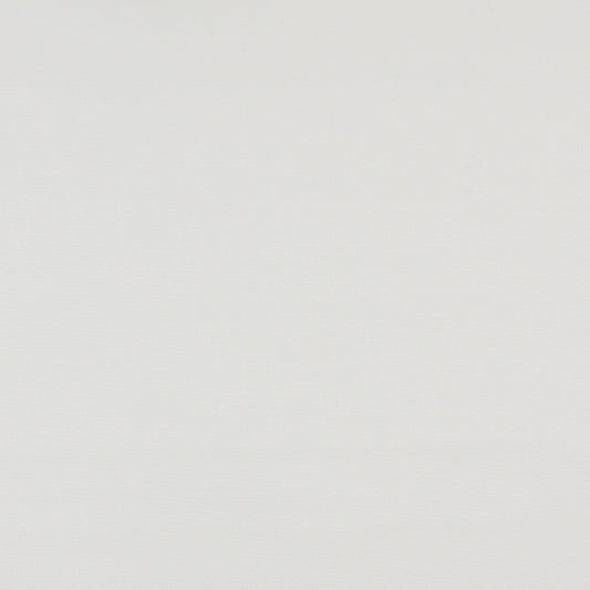 2472 Plain & Solid White White & Ivory Charlotte Fabrics