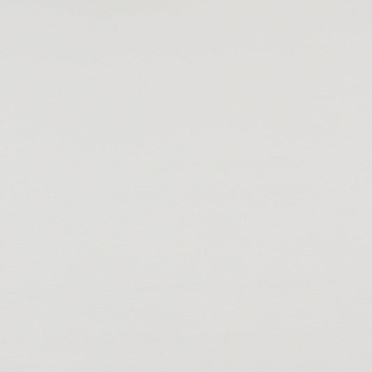 2472 Plain & Solid White & Ivory Charlotte Fabrics Canvas Denim & Twill