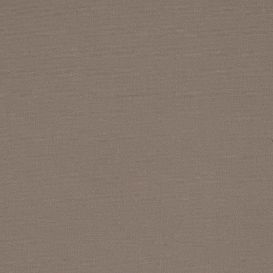 2480 Plain & Solid Taupe Beige & Taupe Charlotte Fabrics