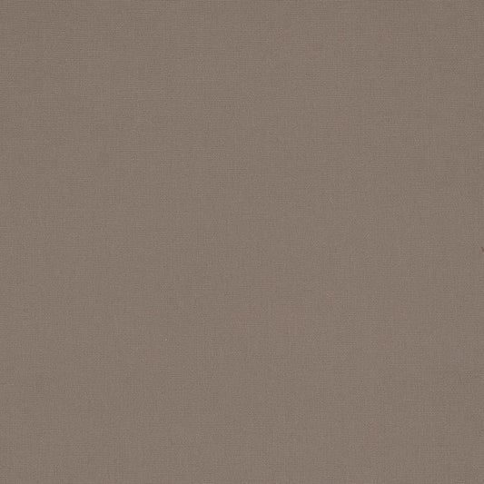 2480 Plain & Solid Beige & Taupe Charlotte Fabrics Canvas Denim & Twill