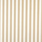 2484 Stripe Sand Canopy Beige & Taupe Charlotte Fabrics