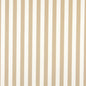 2484 Stripe Beige & Taupe Charlotte Fabrics Woven Patterns