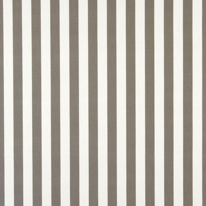 2486 Stripe Taupe Canopy Beige & Taupe Charlotte Fabrics