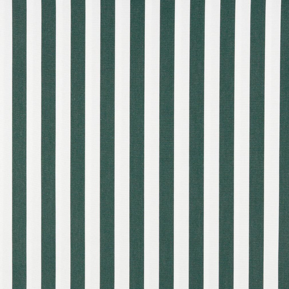 2488 Stripe Forest Canopy Green Charlotte Fabrics