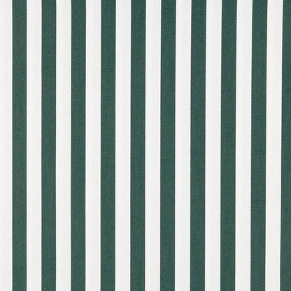 2488 Stripe Forest Canopy Green Charlotte Fabrics