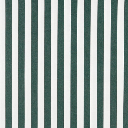 2488 Stripe Forest Canopy Green Charlotte Fabrics