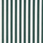 2488 Stripe Green Charlotte Fabrics Woven Patterns