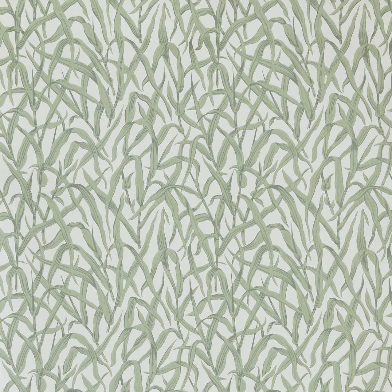 251318501 1838-Wallcoverings WALLPAPER - WP # 01 SAGE V&AIII