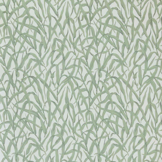 251318501 1838-Wallcoverings WALLPAPER - WP # 01 SAGE V&AIII