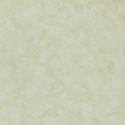 251318902 1838-Wallcoverings WALLPAPER - WP # 02 NATURAL V&AIII