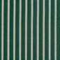 2610 Stripe Alpine/Stripe Green Charlotte Fabrics