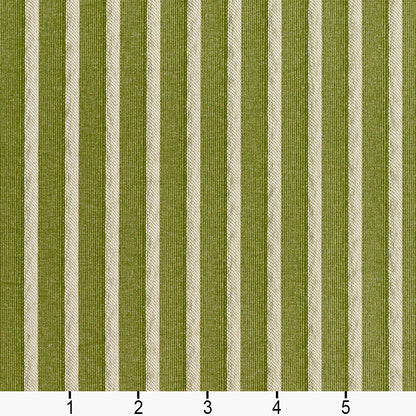 2613 Stripe Fern/Stripe Green Charlotte Fabrics