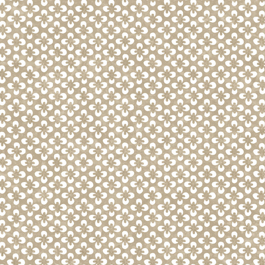 261419601 Maxwell WALLPAPER - WP #303 BIRCH PRINT COORDINATES