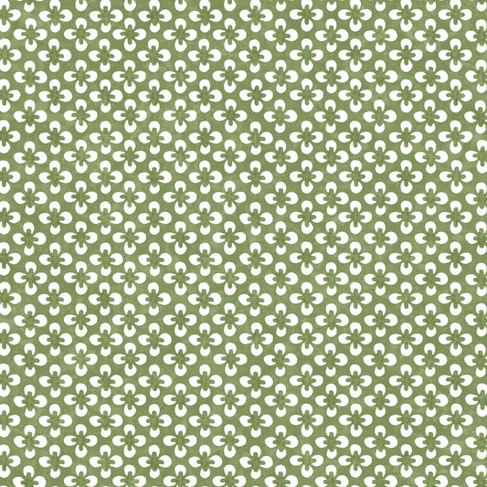 261419603 Maxwell WALLPAPER - WP #302 ALOE PRINT COORDINATES