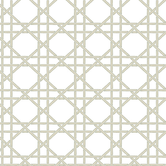261419901 Maxwell WALLPAPER - WP #103 OAT PRINT COORDINATES