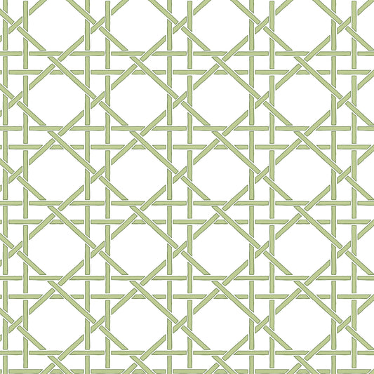 261419903 Maxwell WALLPAPER - WP #102 MOJITO PRINT COORDINATES
