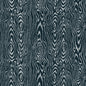 261420002 Maxwell WALLPAPER - WP #601 MIDNIGHT PRINT COORDINATES