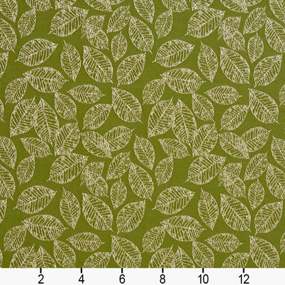 2622 Leaves Fern/Leaf Green Charlotte Fabrics