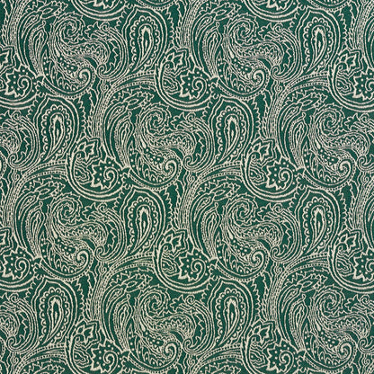 2628 Paisley Alpine/Paisley Green Charlotte Fabrics