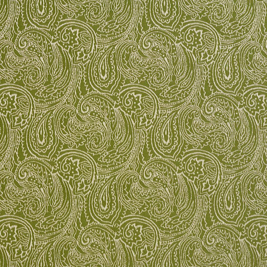 2631 Paisley Green Charlotte Fabrics Woven Patterns