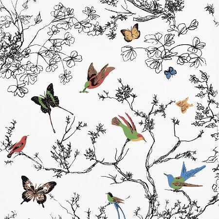 2704420 BIRDS & BUTTERFLIES Multi On White Schumacher Wallpaper