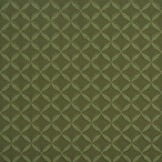 2758 Abstract & Geometric,Small Scale Aloe Green Charlotte Fabrics