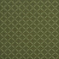 2758 Abstract & Geometric,Small Scale Aloe Green Charlotte Fabrics
