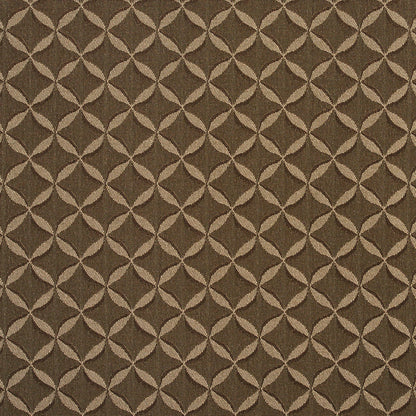 2762 Abstract & Geometric,Small Scale Slate Brown Charlotte Fabrics