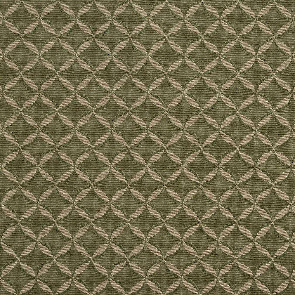 2764 Abstract & Geometric,Small Scale Sage Green Charlotte Fabrics