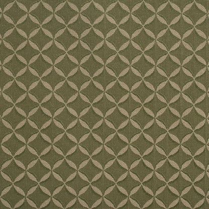 2764 Abstract & Geometric,Small Scale Sage Green Charlotte Fabrics