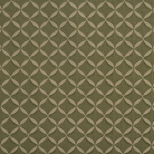 2764 Abstract & Geometric,Small Scale Sage Green Charlotte Fabrics