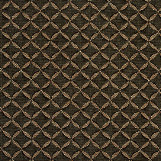 2766 Abstract & Geometric,Small Scale Ebony Black Charlotte Fabrics
