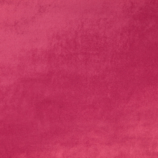 284005 Maxwell VELVET SOLID/TEXTURE # 05 CONFETTI GLAMVELVET