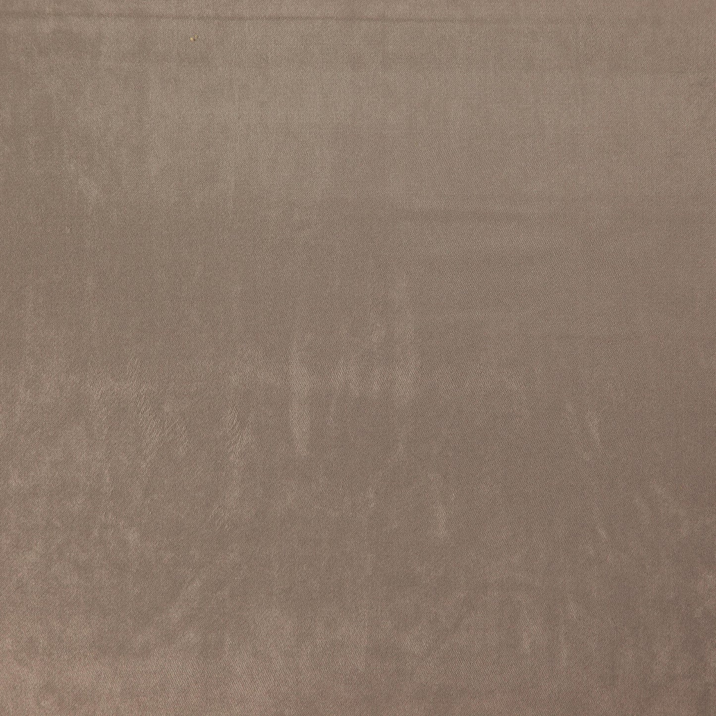 284013 Maxwell VELVET SOLID/TEXTURE # 13 DOE GLAMVELVET