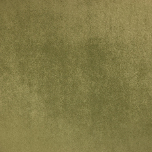284029 Maxwell VELVET SOLID/TEXTURE # 29 THYME GLAMVELVET
