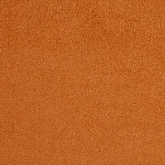 2920 Plain & Solid Apricot  Orange & Rust Charlotte Fabrics