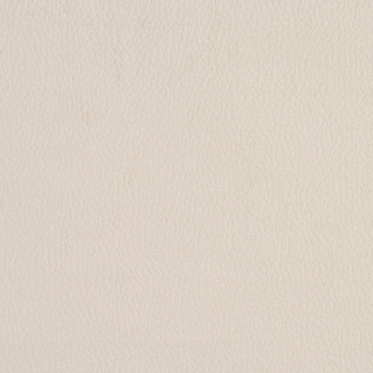 2922 Plain & Solid Eggshell  White & Ivory Charlotte Fabrics