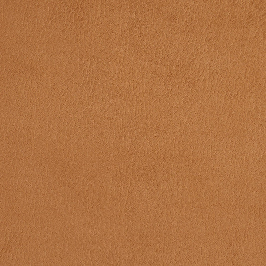 2923 Plain & Solid Camel  Brown Charlotte Fabrics