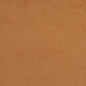 2923 Plain & Solid Camel  Brown Charlotte Fabrics