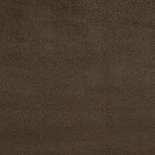 2925 Plain & Solid Charcoal  Grey & Silver Charlotte Fabrics