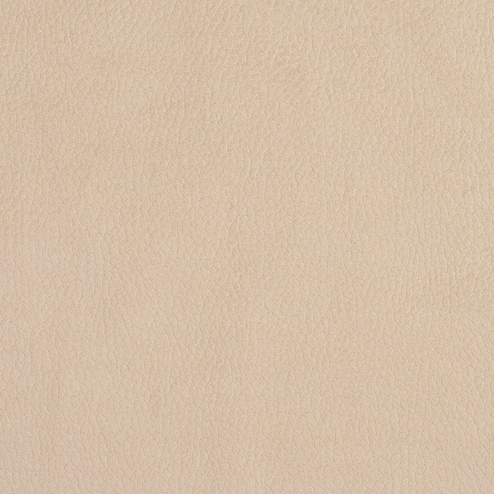 2926 Plain & Solid Ecru  Beige & Taupe Charlotte Fabrics