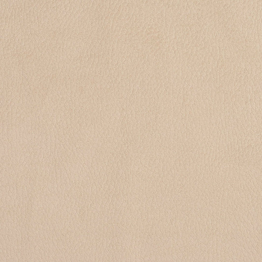2926 Plain & Solid Ecru  Beige & Taupe Charlotte Fabrics
