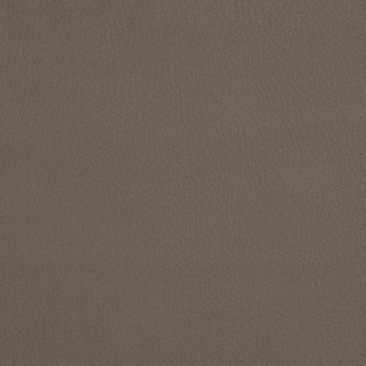 2927 Plain & Solid Moonstone  Grey & Silver Charlotte Fabrics