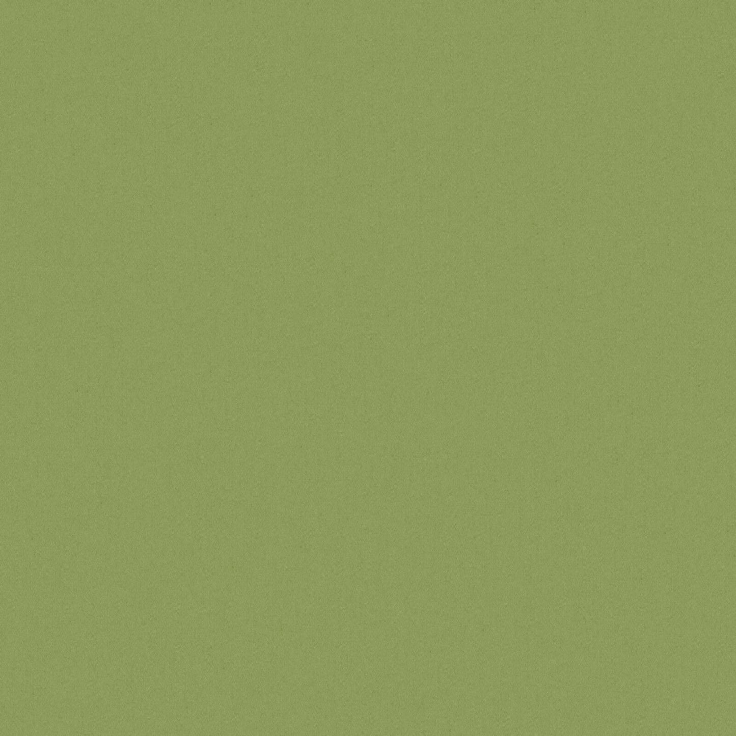 293519 Maxwell DRAPERY/MULTI- SOLID/TEXTURE # 519 HEDGE PURE&SIMPLEXVI