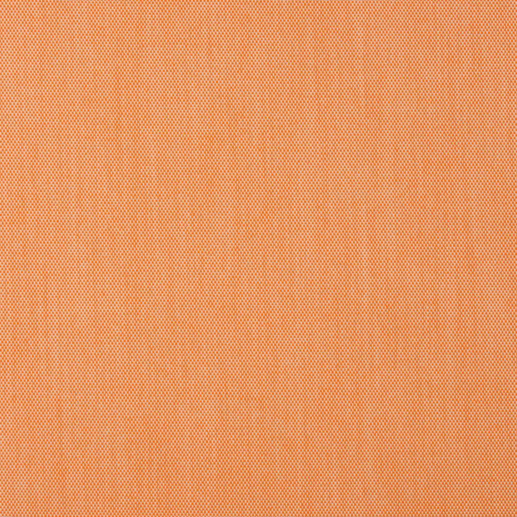 30010-06 Plain & Solid nan Orange & Rust Charlotte Select